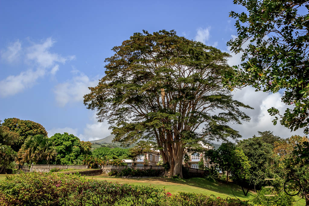 Distillerie Depaz en Martinique