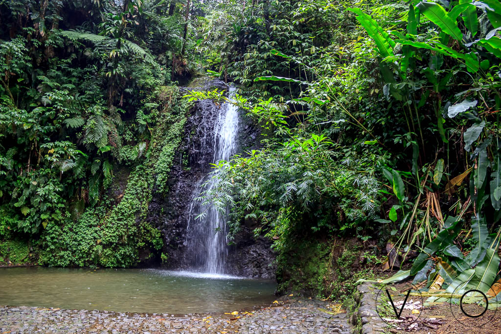 Saut du Gendarme, cascade martinique