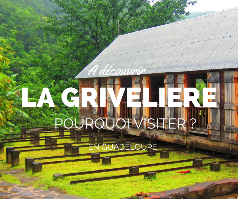 visite-grivelière-guadeloupe-vieux-habitants