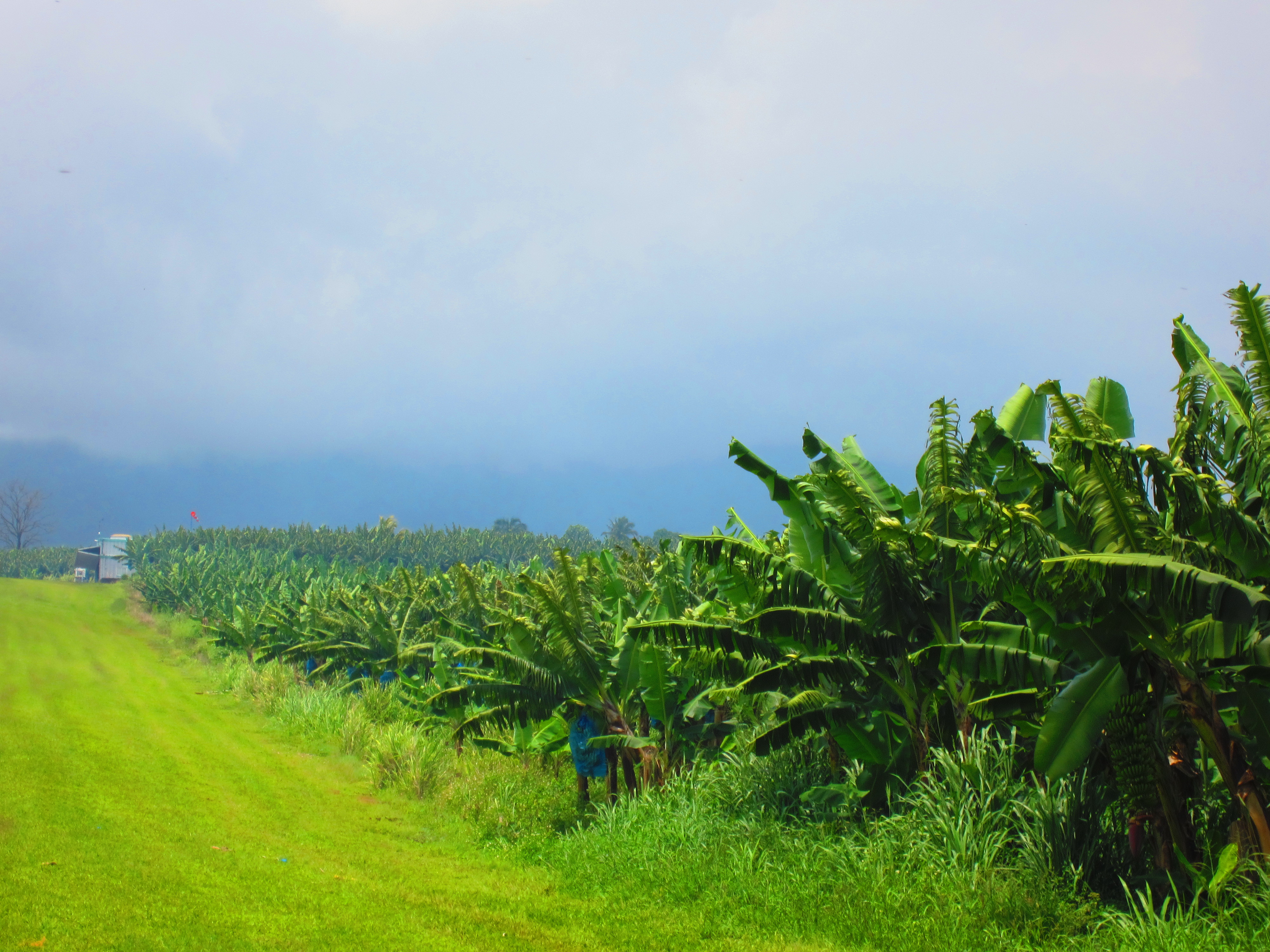 Découvrir la Plantation Grand Café