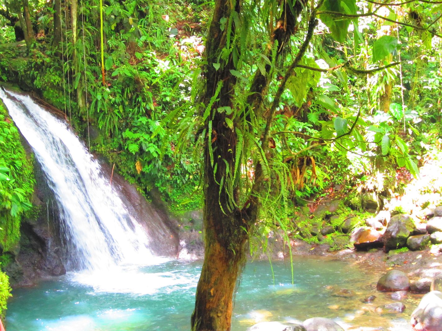 Iles de Guadeloupe