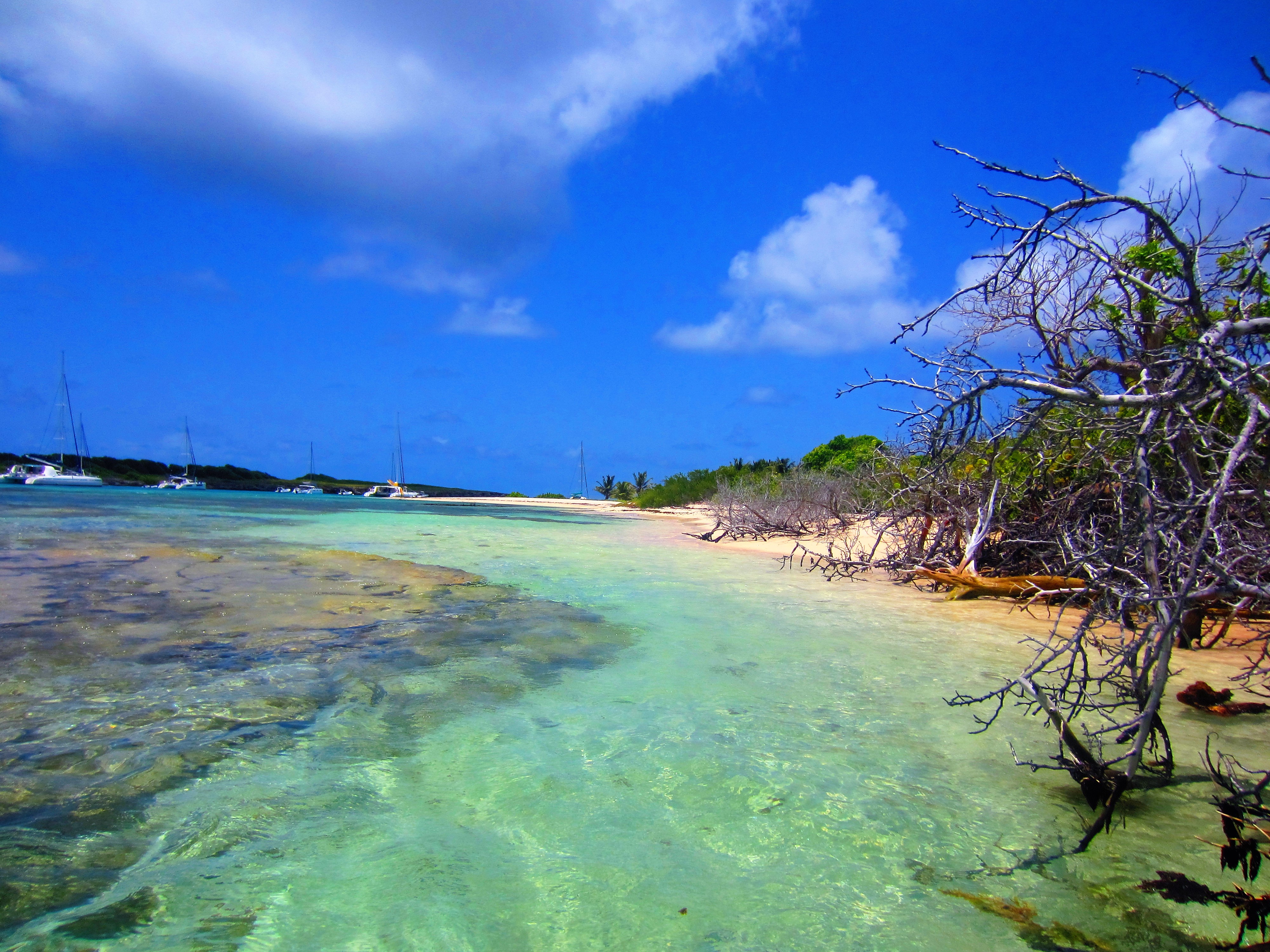 Iles de Guadeloupe