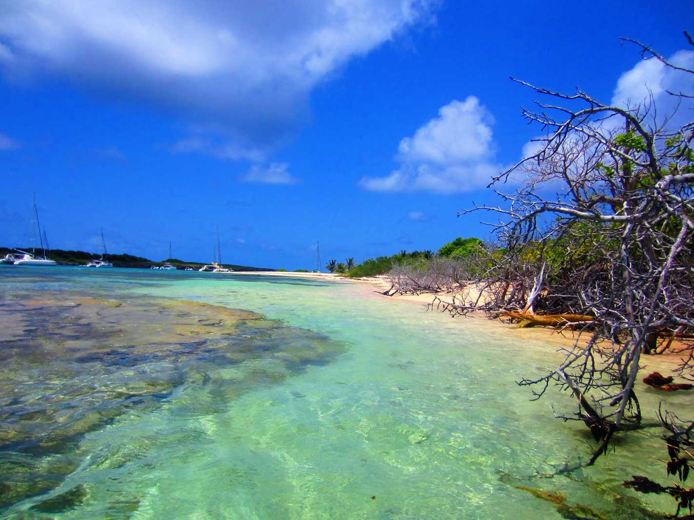 Découvrir Petite Terre en Guadeloupe