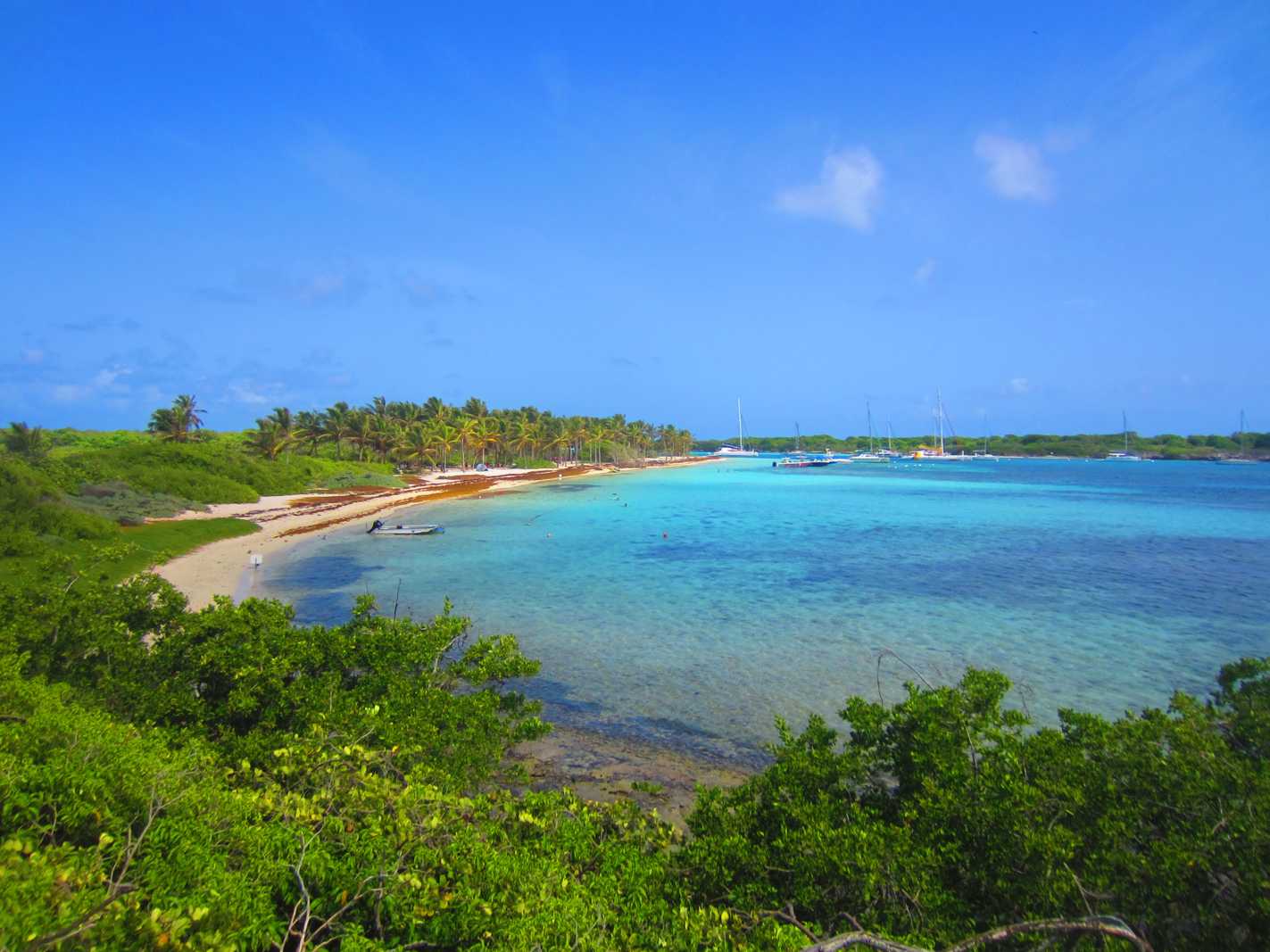 Découvrir Petite Terre en Guadeloupe