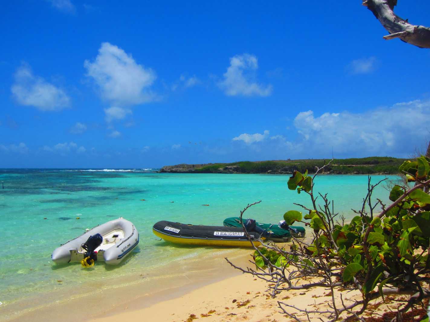 Découvrir Petite Terre en Guadeloupe