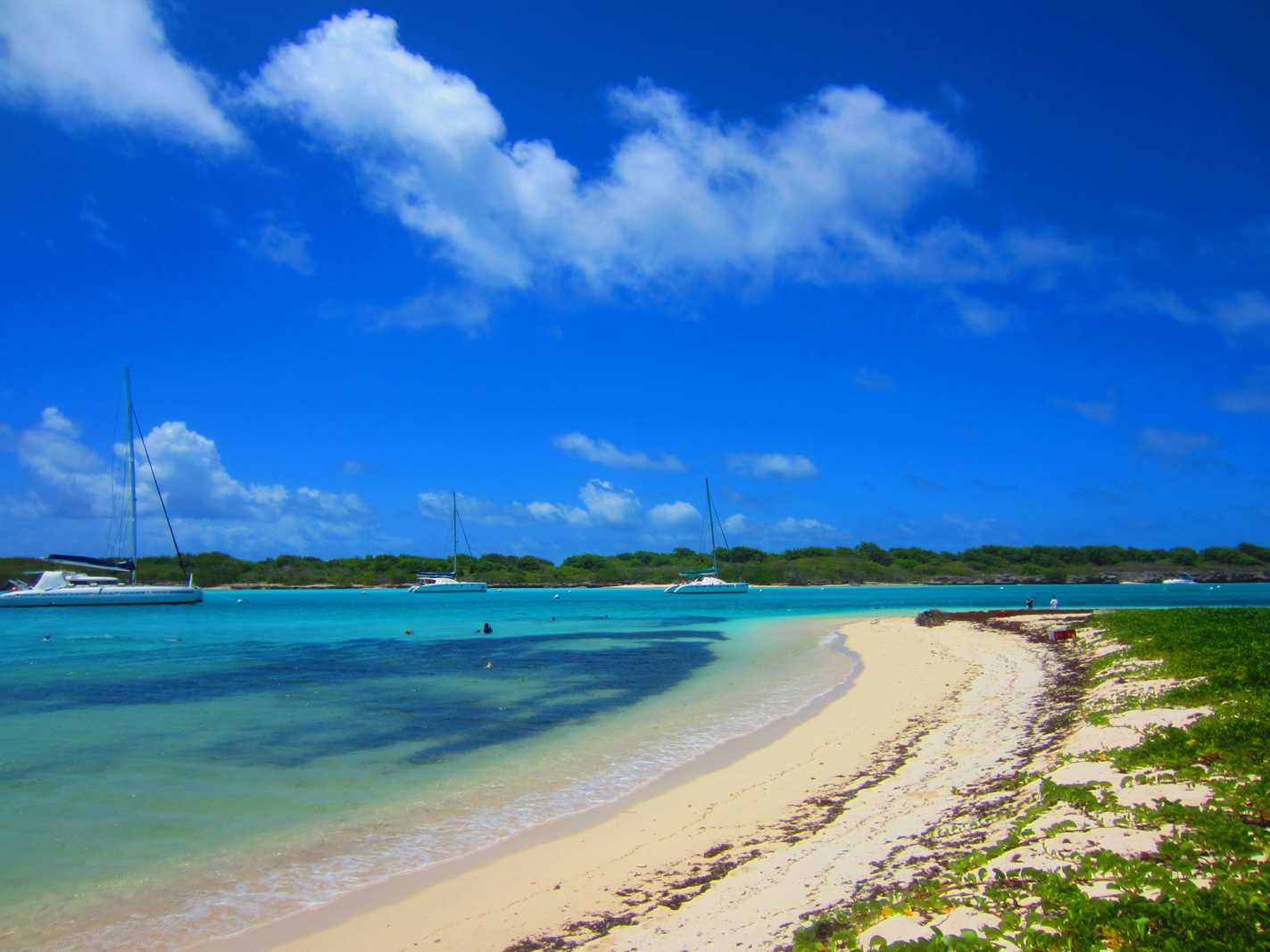 Découvrir Petite Terre en Guadeloupe