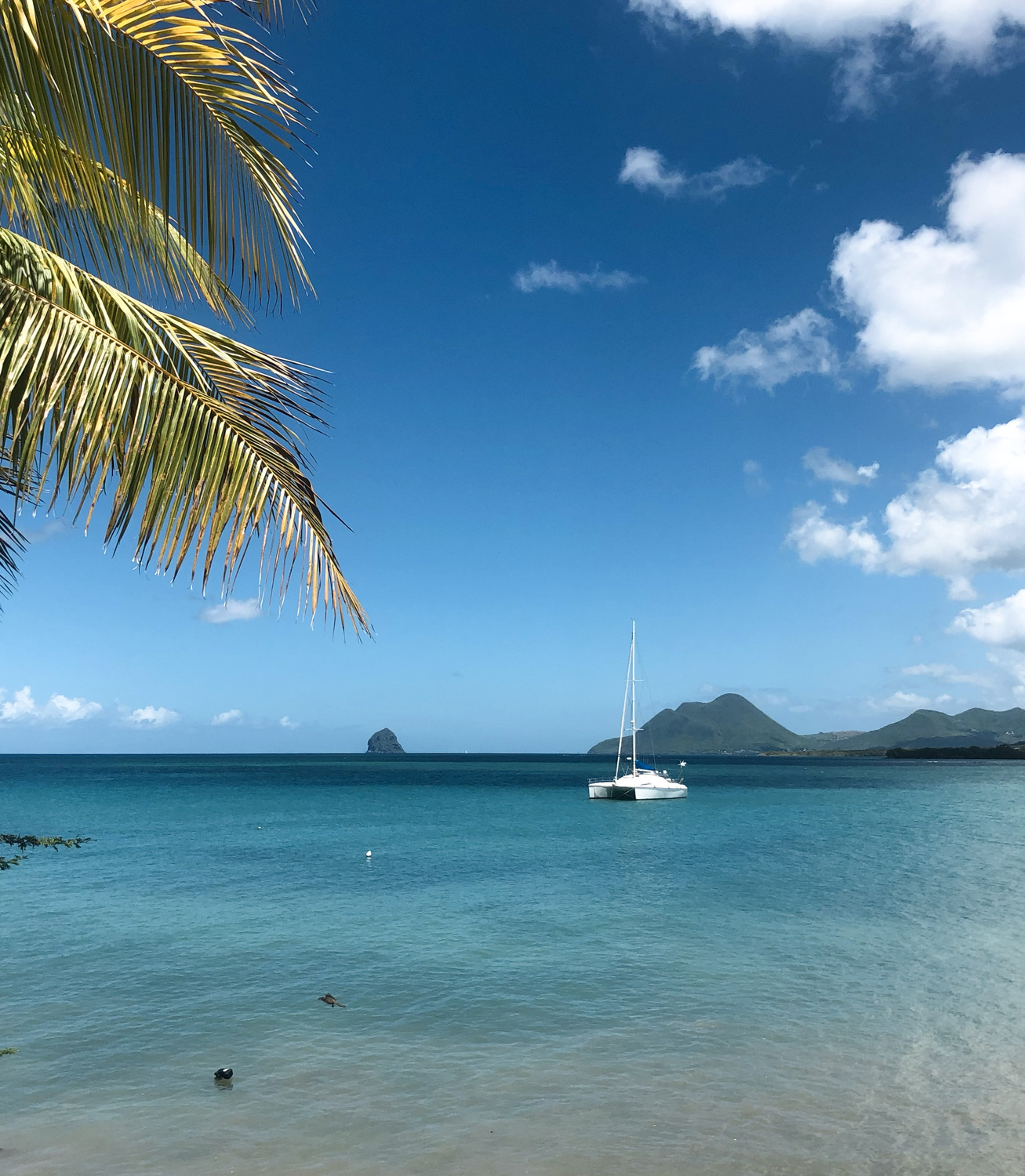 Sainte-Luce, Martinique