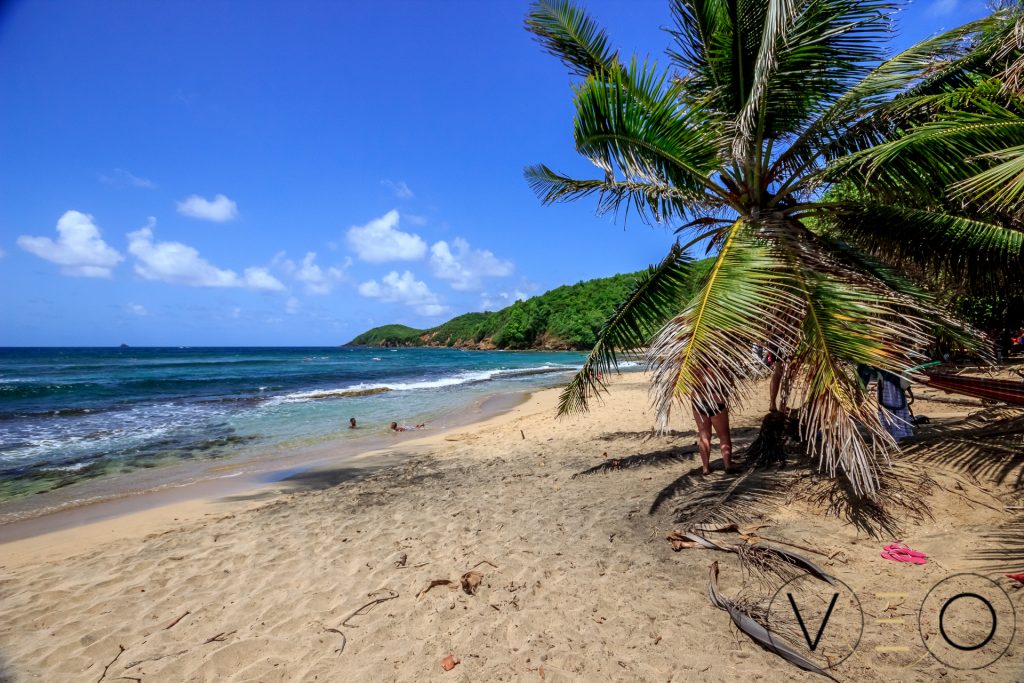 La plage des surfeurs, spot pour apprendre à surfer en Martiniique