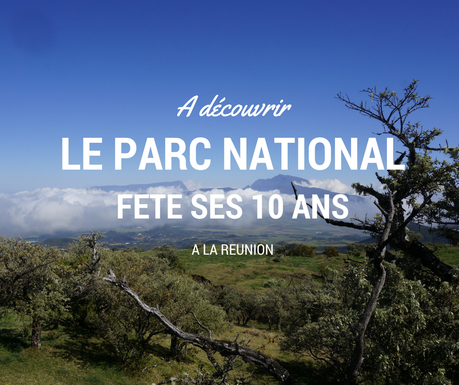 C'est l'anniversaire du parc national de la Réunion