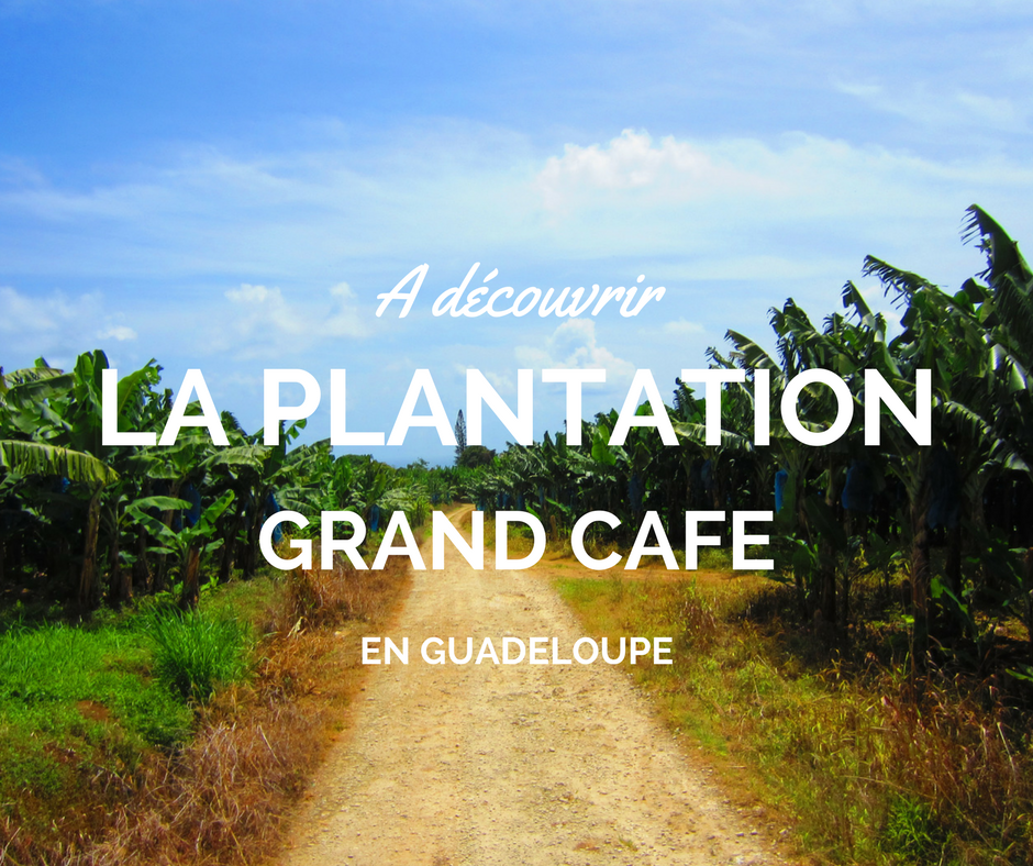 Visiter la Plantation Grand Café