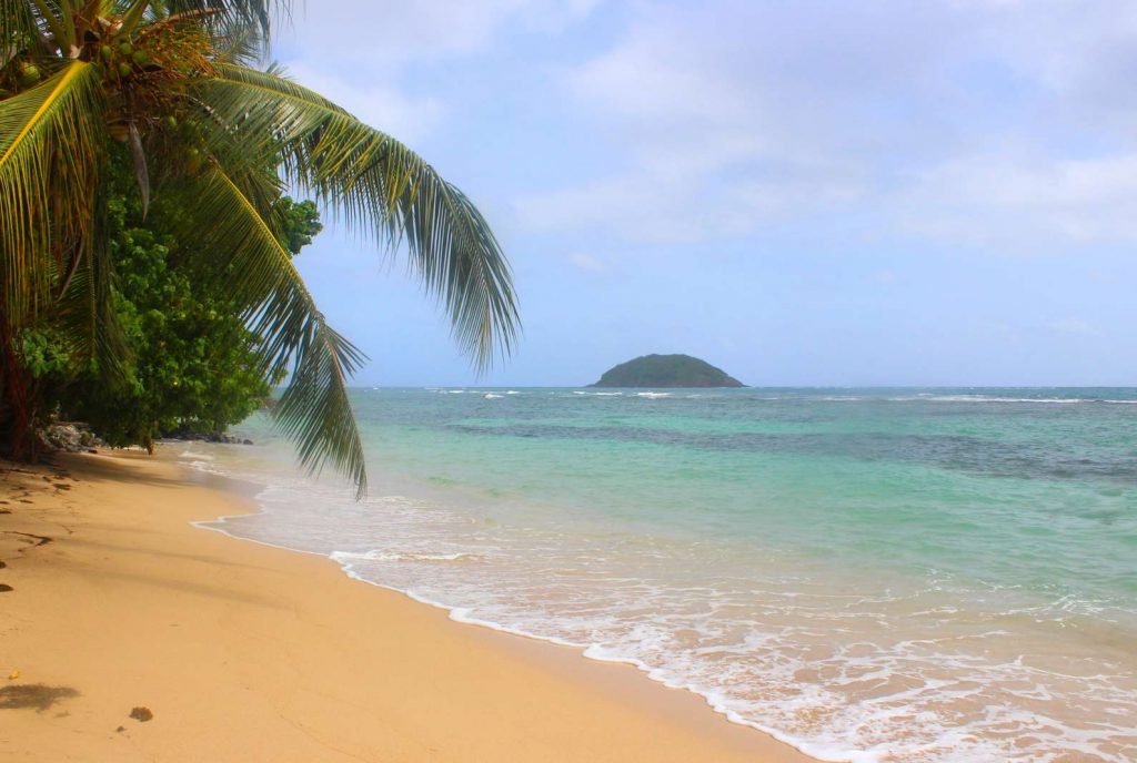 Découvrir la plage de Cosmy sur la côte atlantique de la Martinique