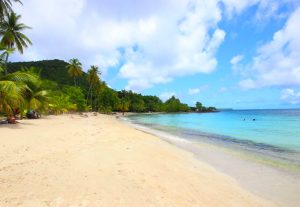 Martinique-Sainte-Luce-Anse Figuier