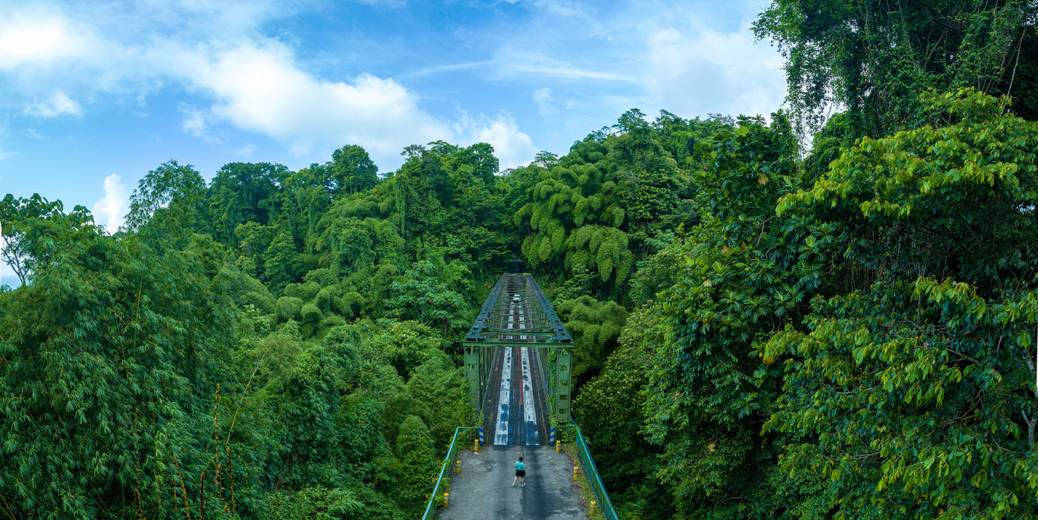 Grand Rivière Pont Martinique