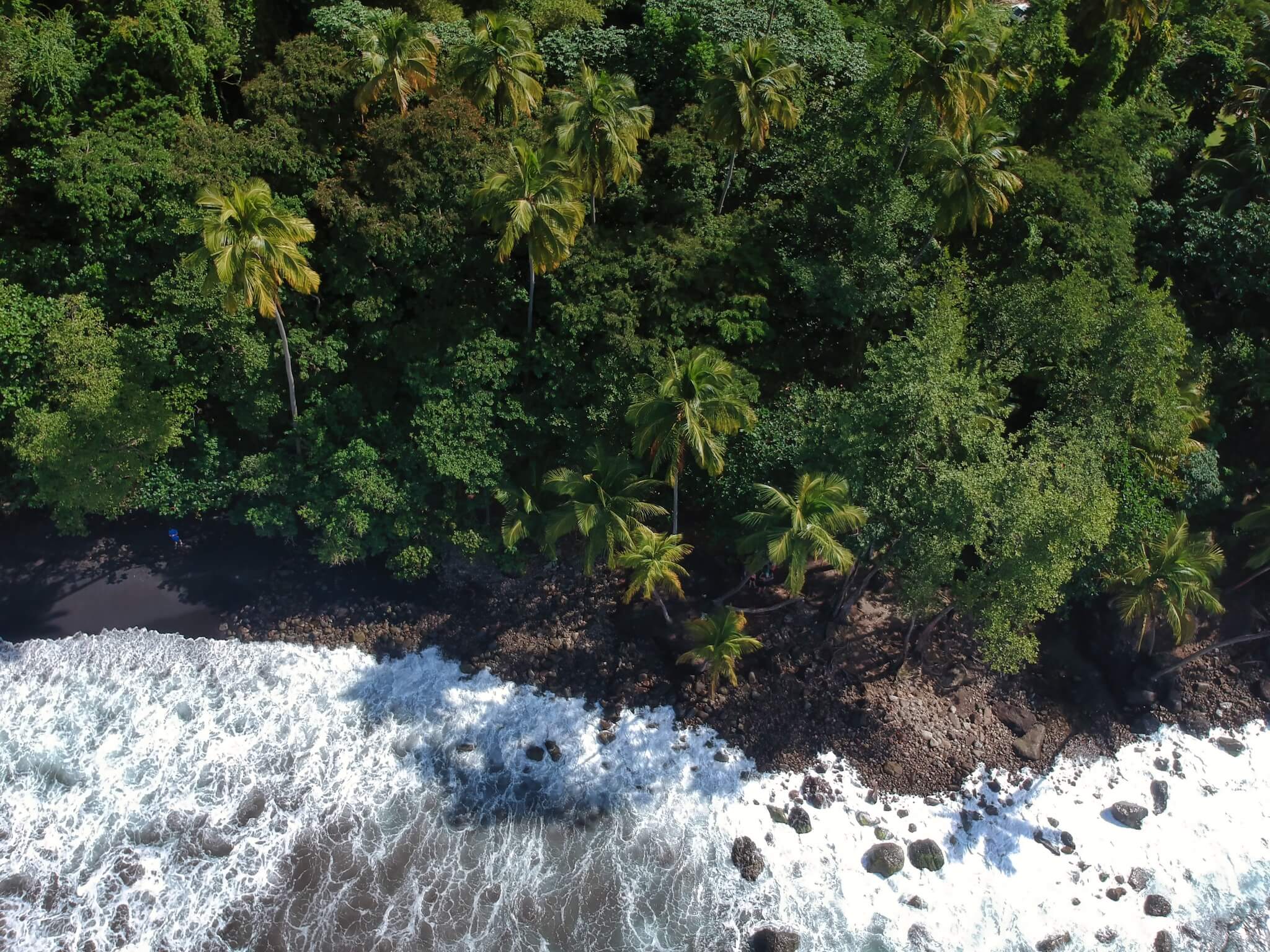 L’Anse Couleuvre en Martinique : Surf, randonnée et snorkeling – Le ...