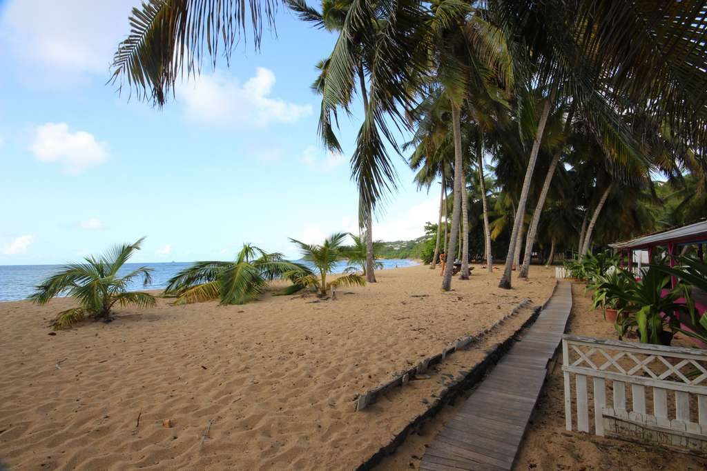 Martinique Spot Anse l'Etang